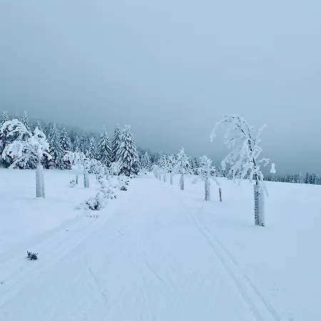 Vila Jachymov 公寓式酒店 亚希莫夫