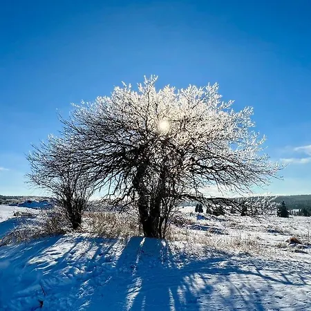 Vila Jachymov Апарт-отель