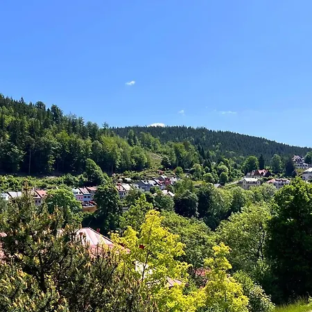Vila Jachymov 3* Jáchymov