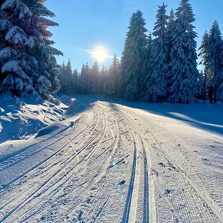 Апарт-отель Vila Jachymov Яхимов