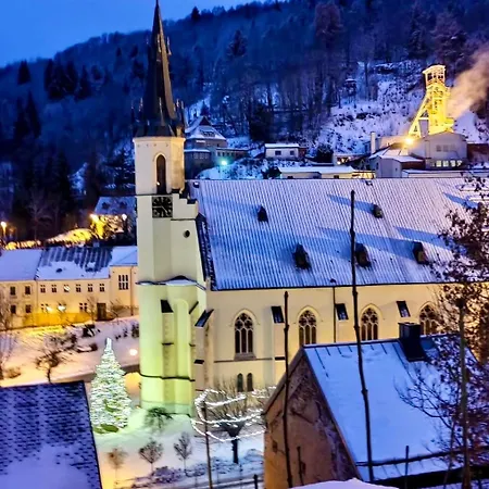 Vila Jachymov 3* Яхимов