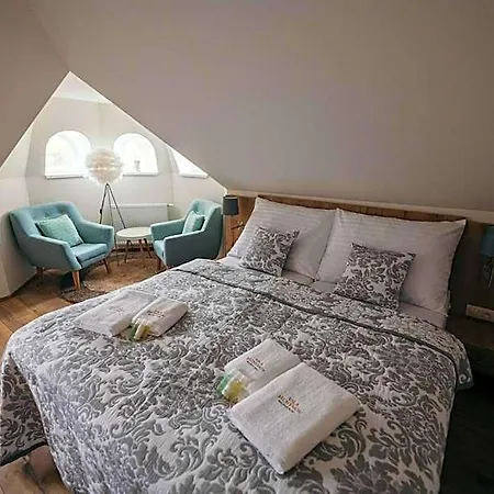 Vila Jachymov 3* יאסימוב