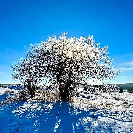 Vila Jachymov 3*