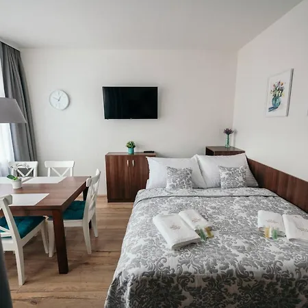Vila Jachymov 3* Jachymov