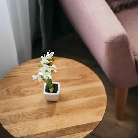 Апарт-отель Vila Jachymov Яхимов