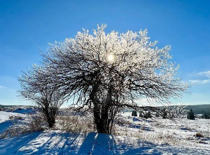 Vila Jáchymov Aparthotel