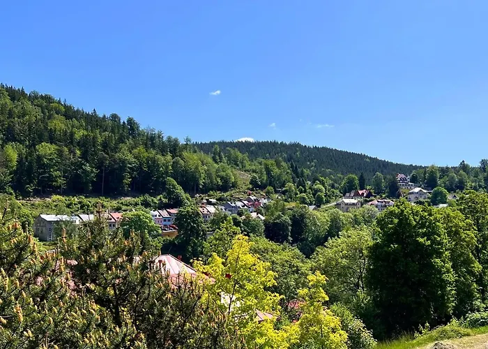 Vila Jachymov 3* Jáchymov