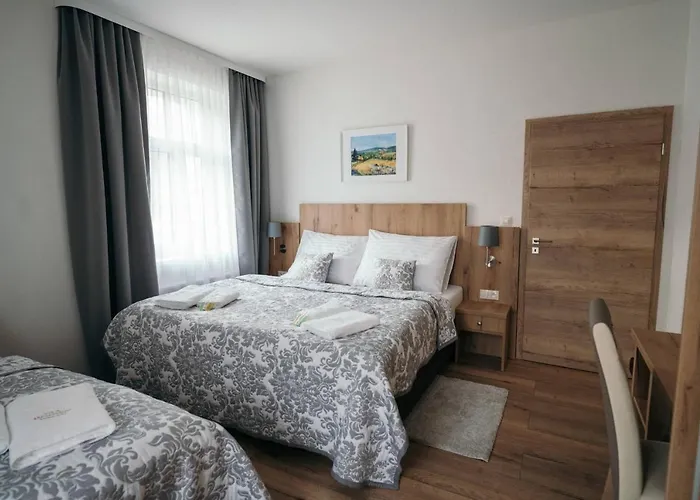 Vila Jachymov 3* Jáchymov