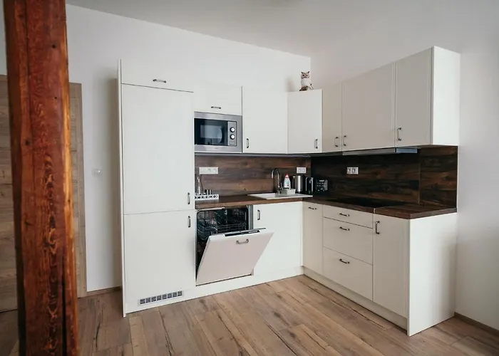 Vila Jachymov 3*