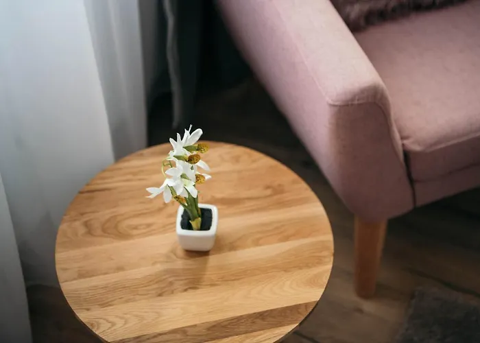 Aparthotel Vila Jáchymov Jáchymov